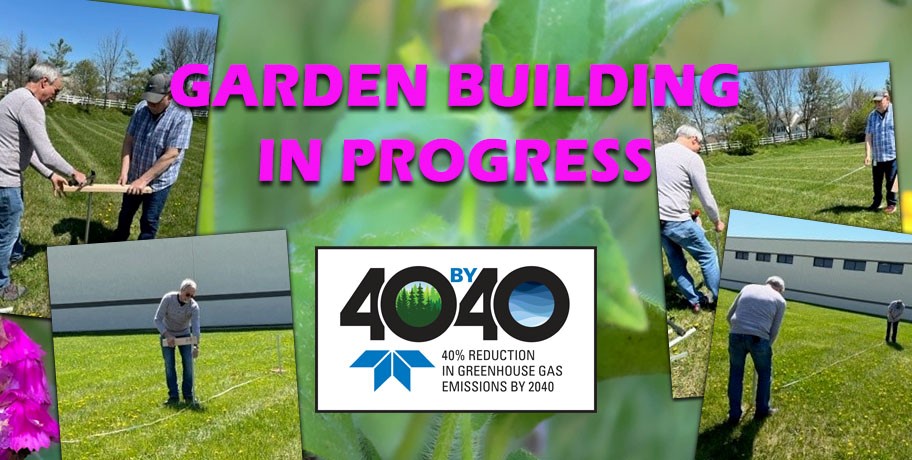 Garden Building Process - Tekmar.jpg